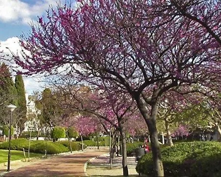 Benalbeach Playa アパート ベナルマデナ