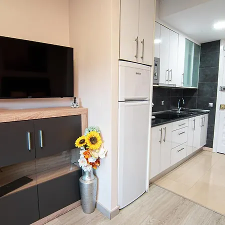 Benalbeach Playa Apartment
